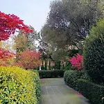 Venice, The Real Experience *